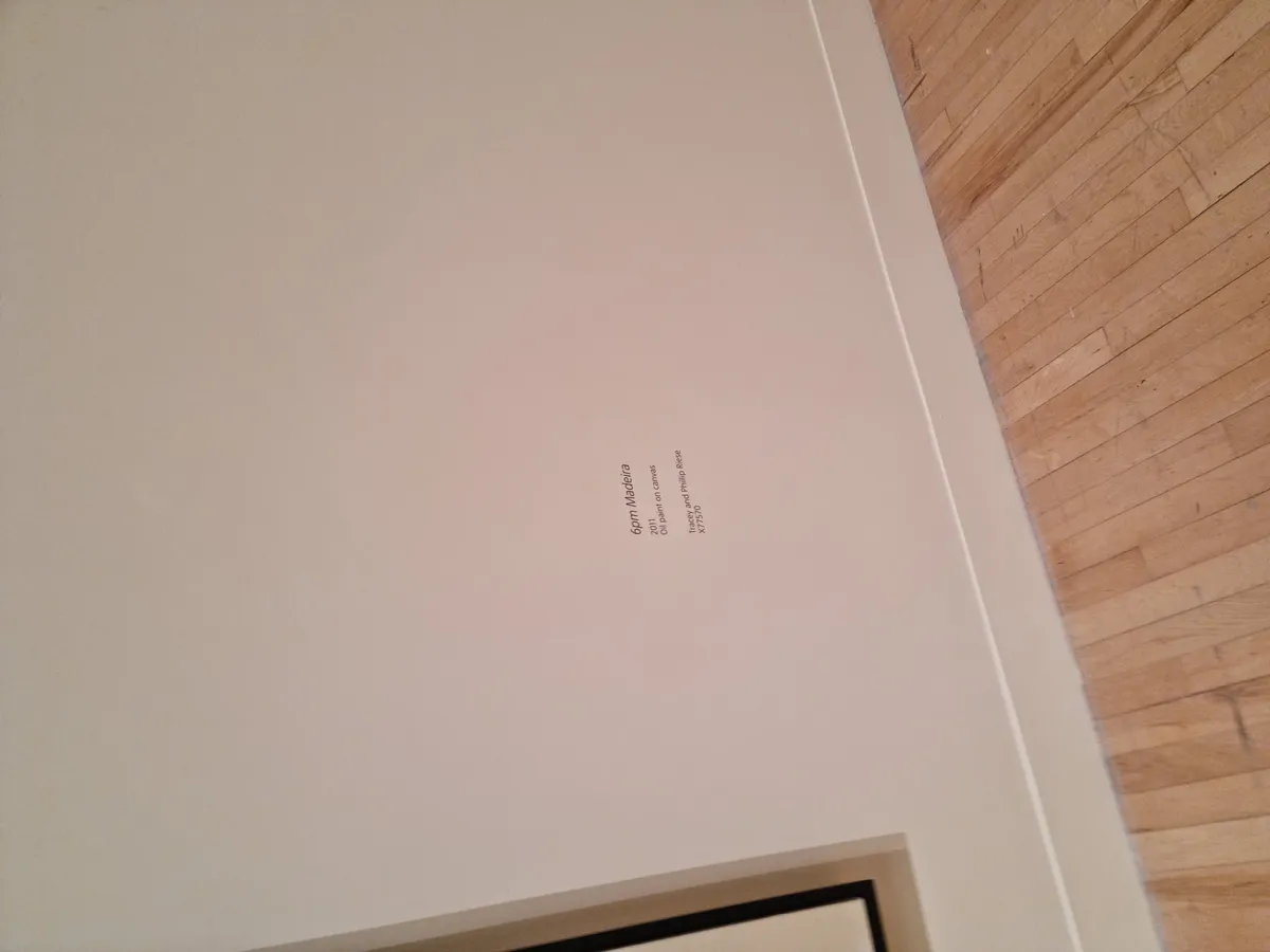 Lynette Yiadom-Boakye Gallery Image 60
